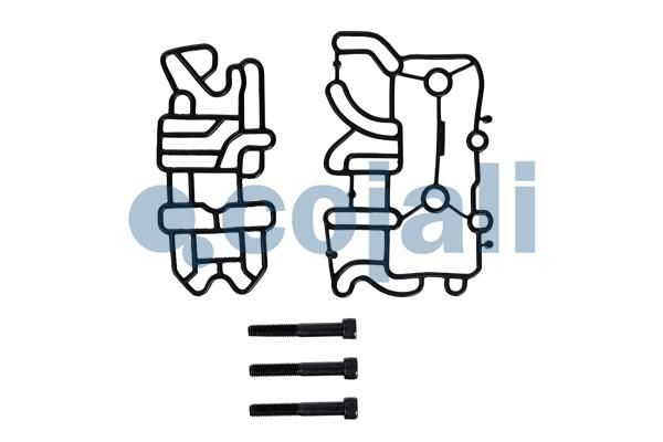 Set garnituri, transmisie manuala COJALI 6012395