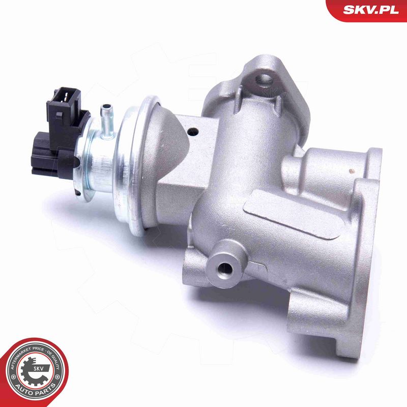 ESEN SKV 14SKV181 EGR Valve