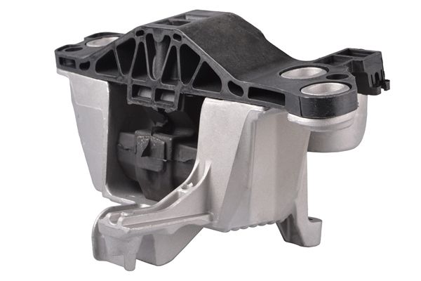 TEDGUM TED72370 Mounting, engine