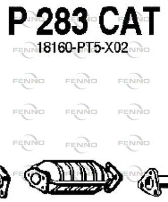 P283CAT.JPG