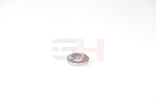 caster shim, sillatala, GH GH-391582