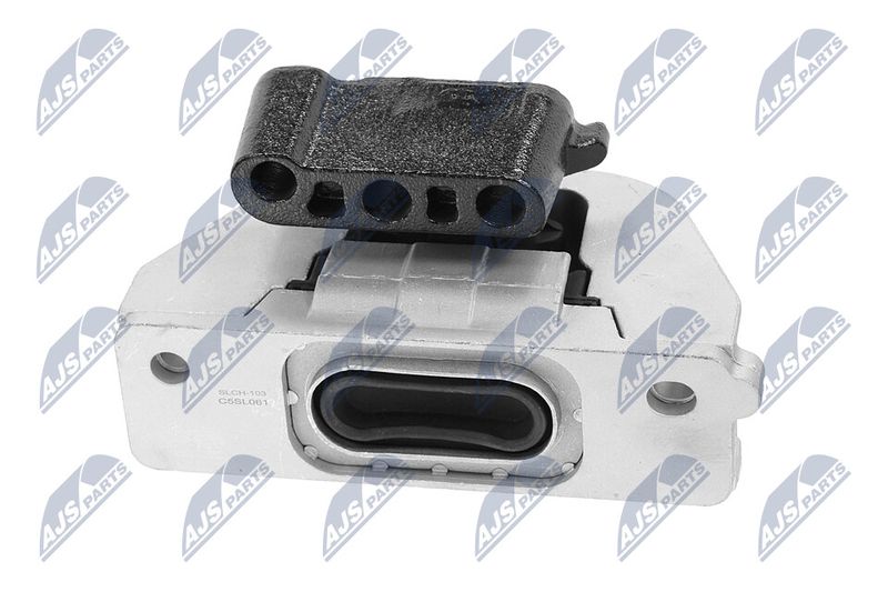 Paigutus, Mootor, NTY ZPS-CH-103