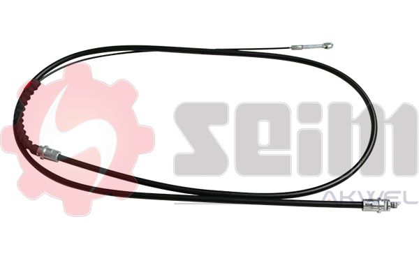 556276.JPG