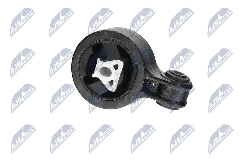 Paigutus, Mootor, NTY ZPS-CH-117