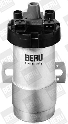 BorgWarner (BERU) ZS125 Ignition Coil