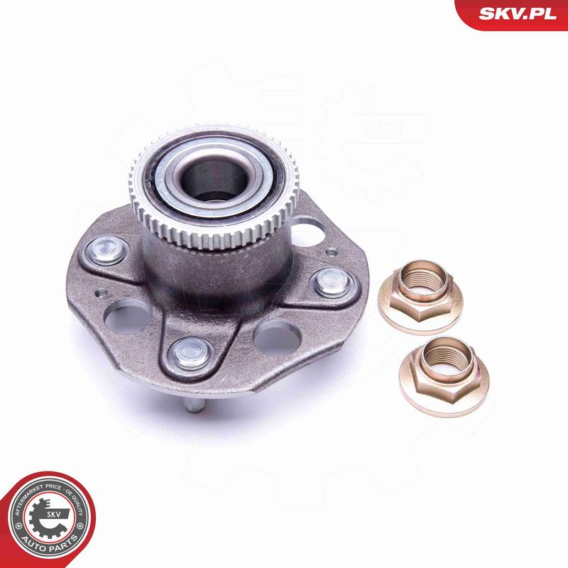 ESEN SKV 29SKV291 Wheel Bearing Kit
