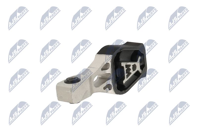 Paigutus, Mootor, NTY ZPS-PE-022