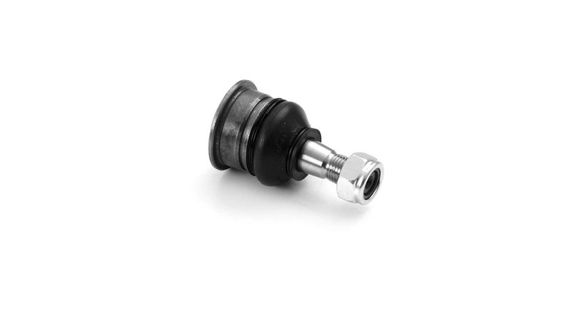 SKF VKDS812005 Šarnyras / girgždukas