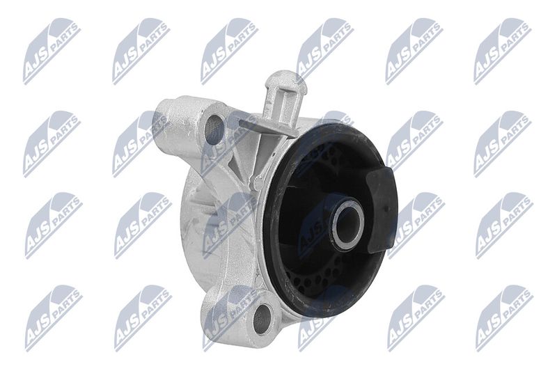 Paigutus, Mootor, NTY ZPS-PL-036