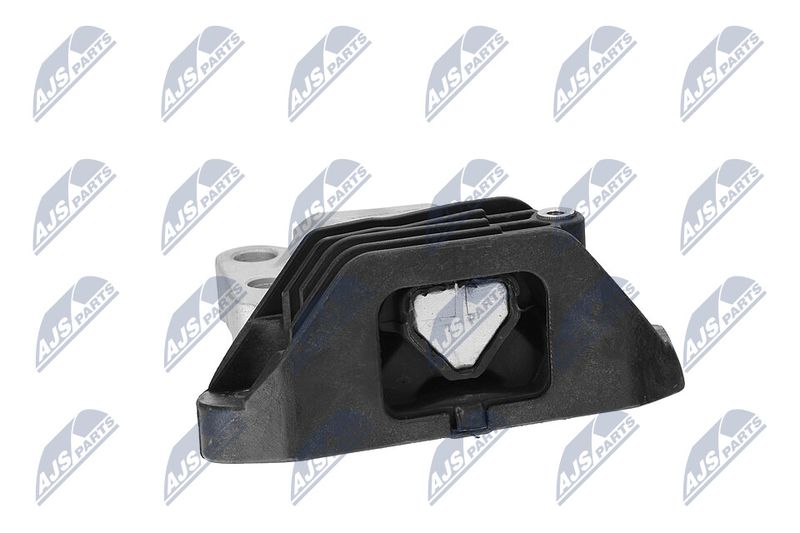 Paigutus, Mootor, NTY ZPS-CH-165