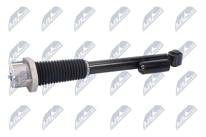 Amort, NTY A-LR-020