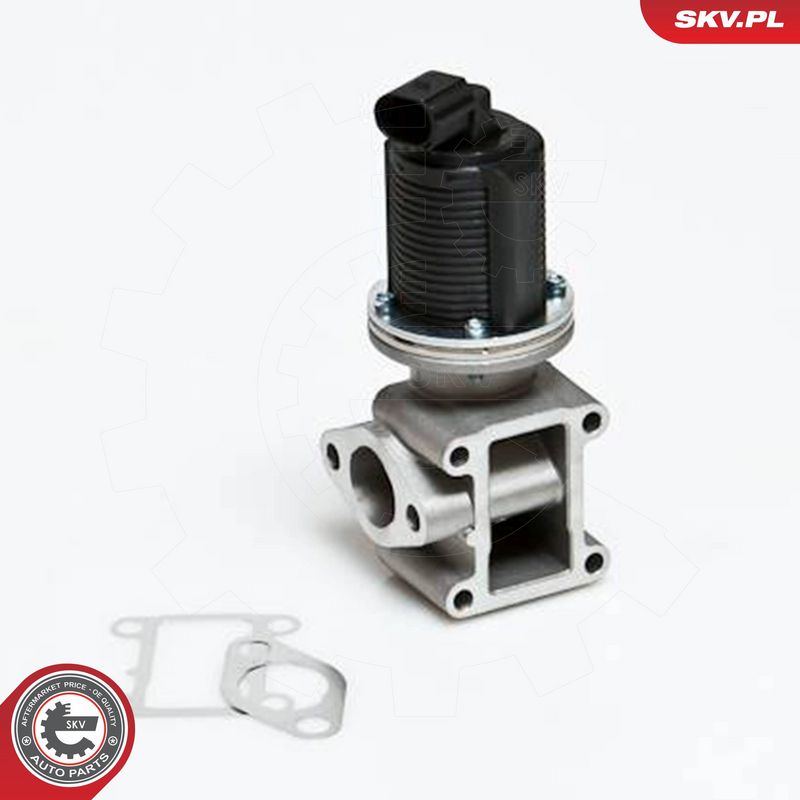 ESEN SKV 14SKV012 EGR Valve