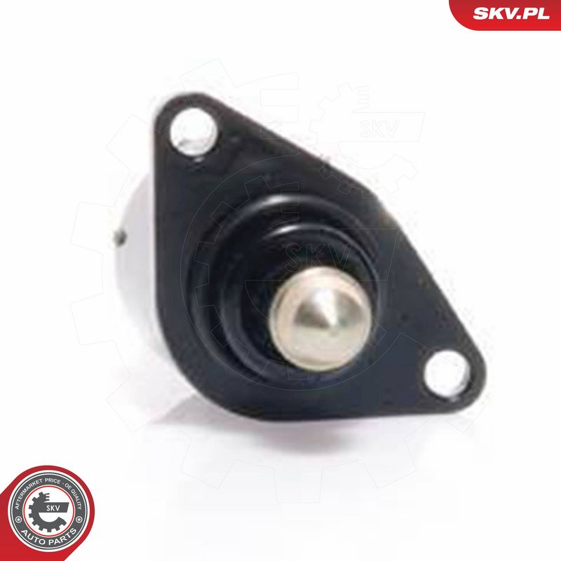ESEN SKV 08SKV012 Idle Control Valve, air supply