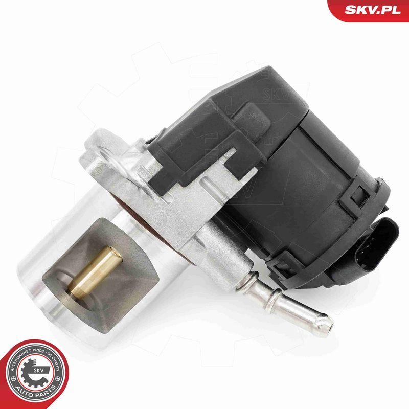 ESEN SKV 14SKV266 EGR Valve