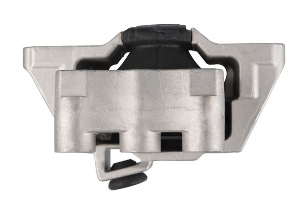 TEDGUM TED33428 Mounting, engine
