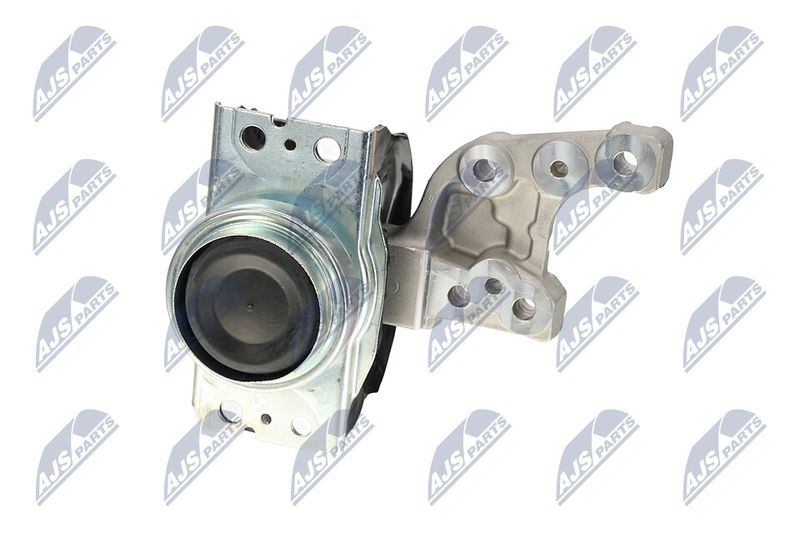 NTY ZPS-PE-042 Mounting, engine