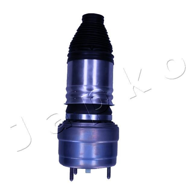 MJAS224_3.JPG