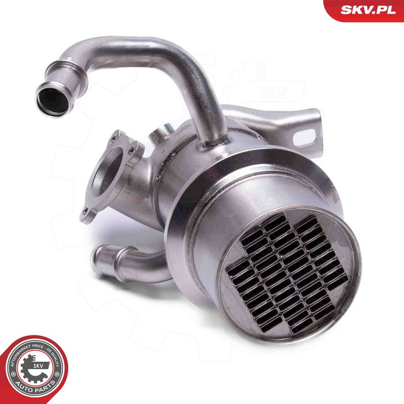 ESEN SKV 14SKV243 EGR Valve