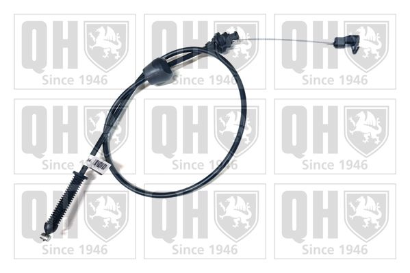 QH_QTC5067.JPG