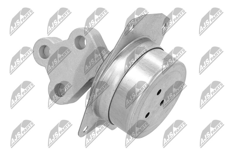Paigutus, Mootor, NTY ZPS-PL-025