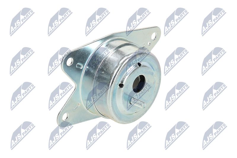 Paigutus, Mootor, NTY ZPS-PL-075