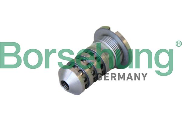 Tsentraalklapp, nukkvõlliasend, Borsehung B12694