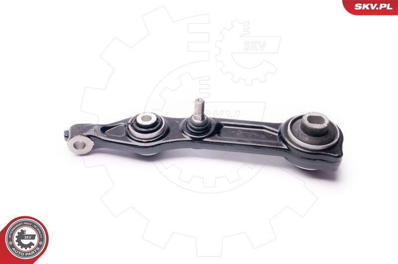 ESEN SKV 04SKV300 Repair Kit, control arm