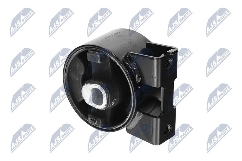 Paigutus, Mootor, NTY ZPS-CH-047