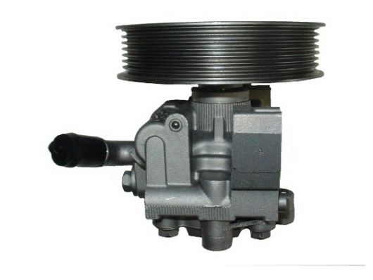 SPIDAN 54412 Hydraulic Pump, steering