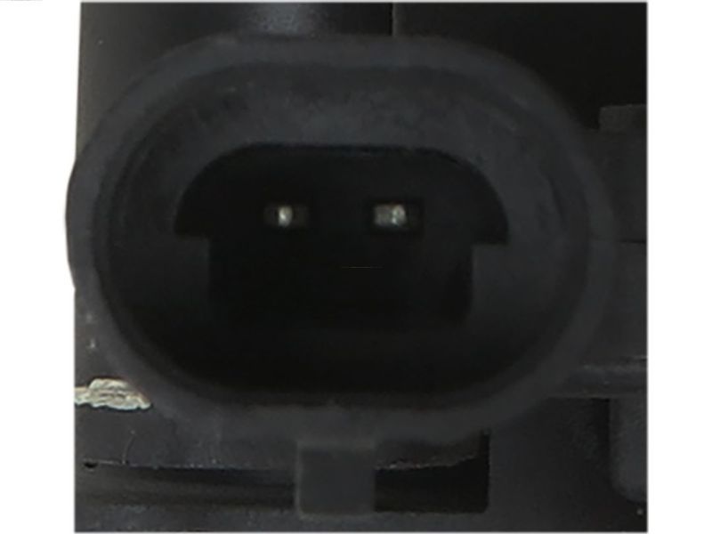 263067.JPG
