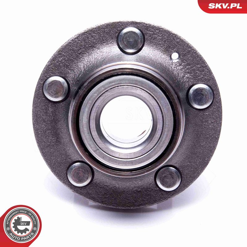 ESEN SKV 29SKV535 Wheel Bearing Kit