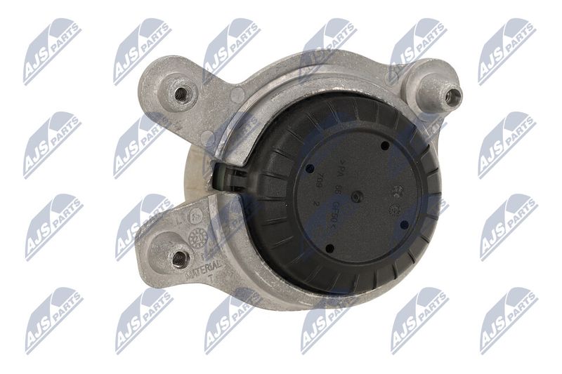 Paigutus, Mootor, NTY ZPS-ME-048