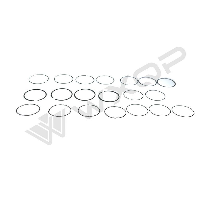 WXQP 316171 Piston Ring