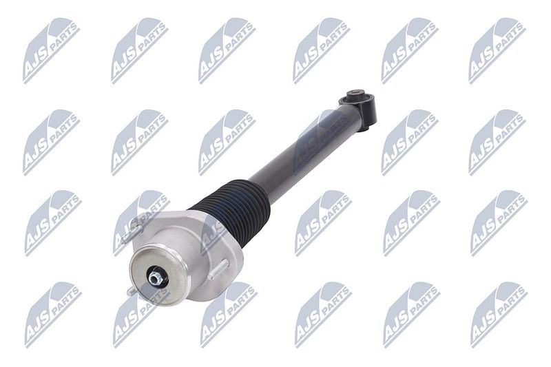 Amort, NTY A-LR-015
