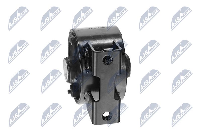 Paigutus, Mootor, NTY ZPS-CH-047