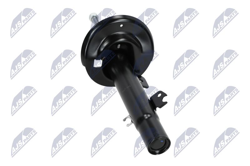 Amort, NTY A-CT-044