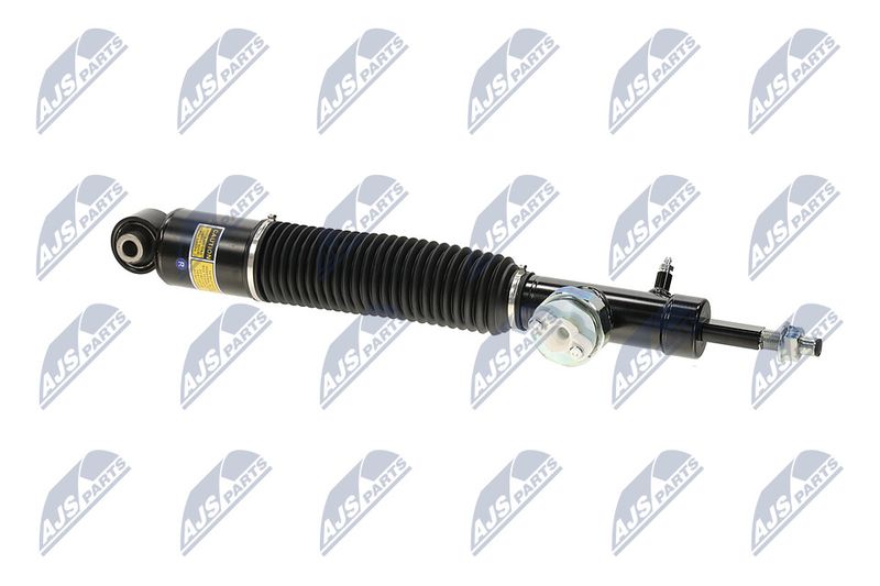 Amort, NTY A-NS-056