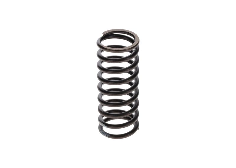 BOSCH 2414617001 Spring