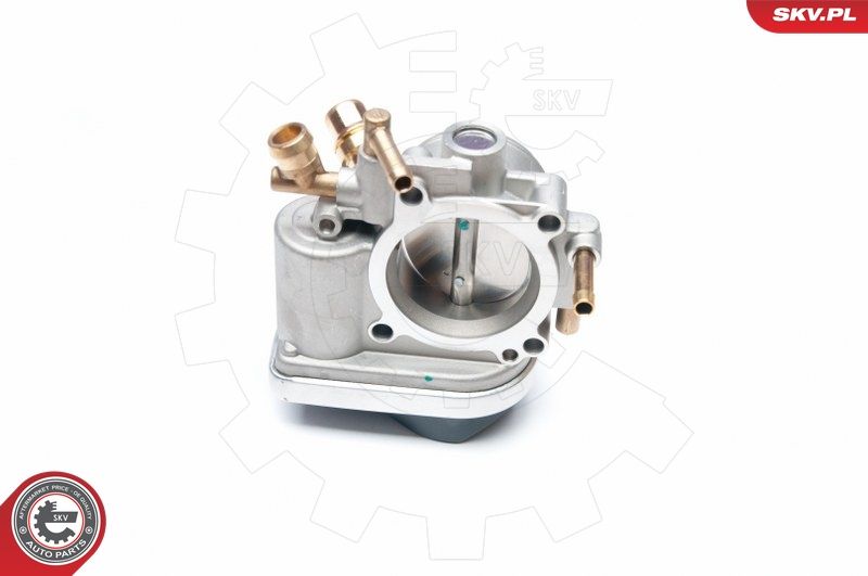 ESEN SKV 12SKV049 Throttle Body