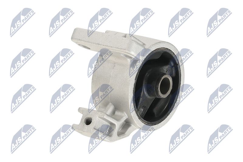 Paigutus, Mootor, NTY ZPS-KA-318