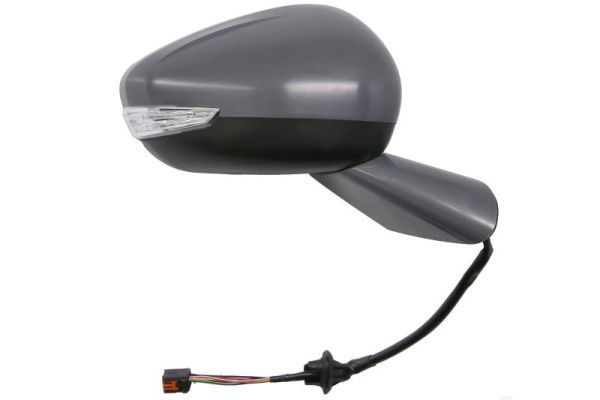BLIC 5402-21-1667313P Exterior Mirror