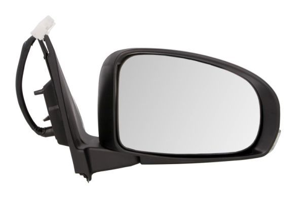BLIC 5402-19-2002494P Exterior Mirror