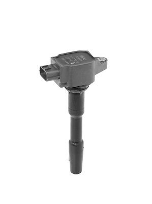 BorgWarner (BERU) ZSE131 Ignition Coil