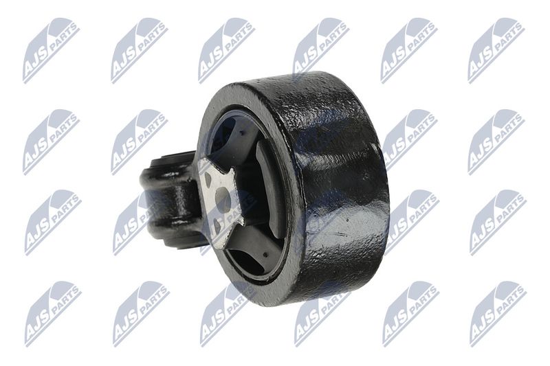 Paigutus, Mootor, NTY ZPS-CH-137