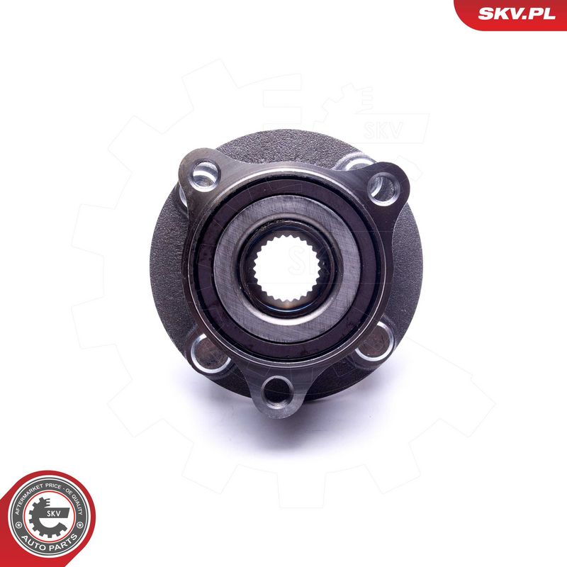 Rattalaagrikomplekt, ESEN SKV 29SKV431