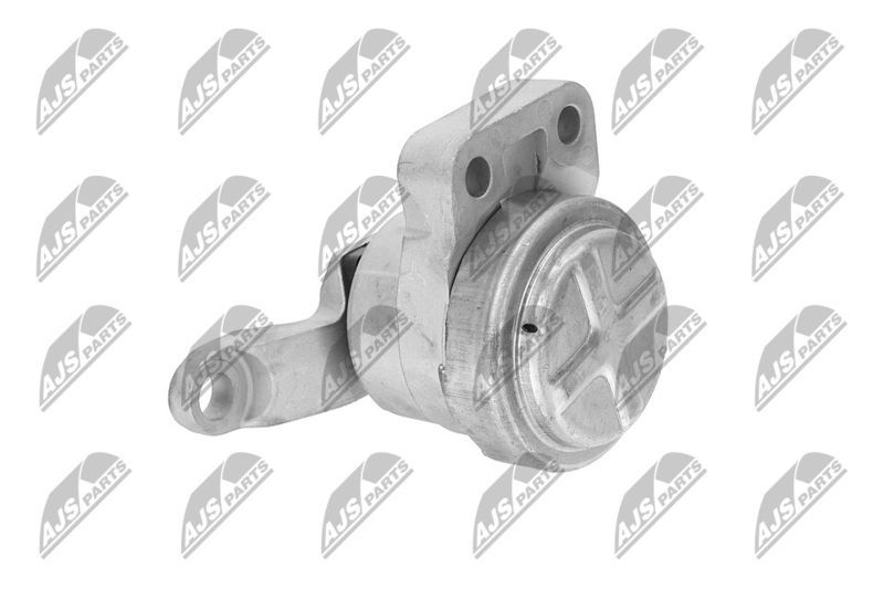 Paigutus, Mootor, NTY ZPS-FR-033