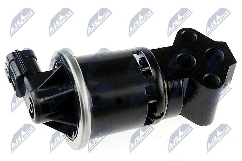 EGR-klapp, NTY EGR-DW-003