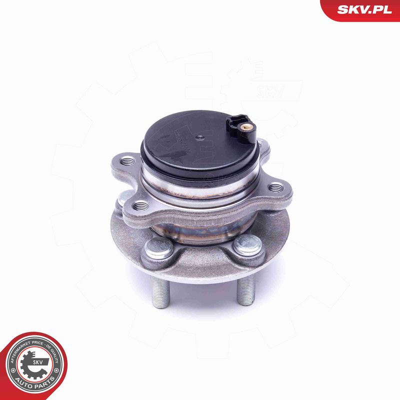 ESEN SKV 29SKV335 Wheel Bearing Kit