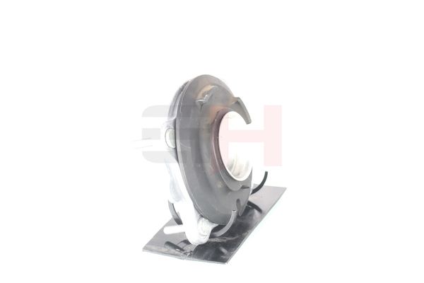 Vedruamordi tugilaager, GH GH-364718
