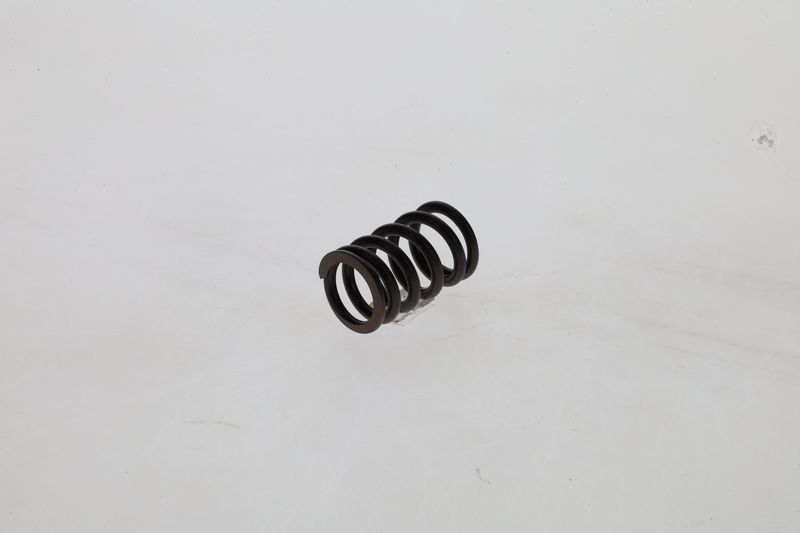 Arc 1 424 619 025 BOSCH